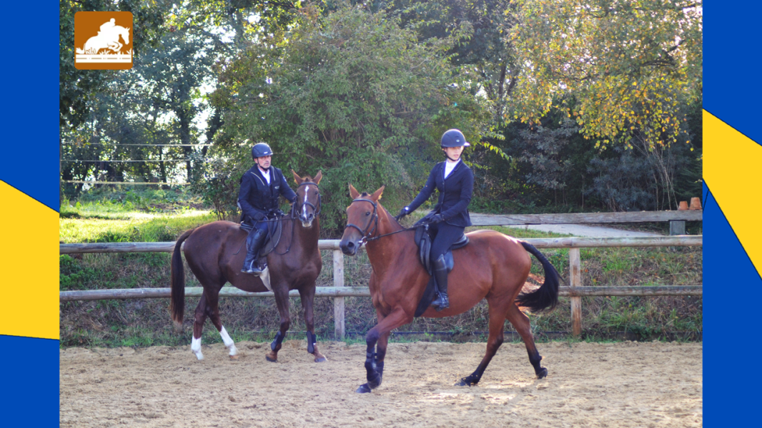 Hunter au Grand Montgenard le 08/10/2023