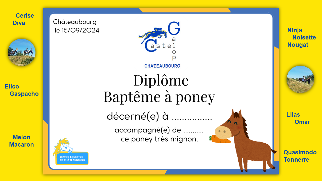 Diplôme de cavalier