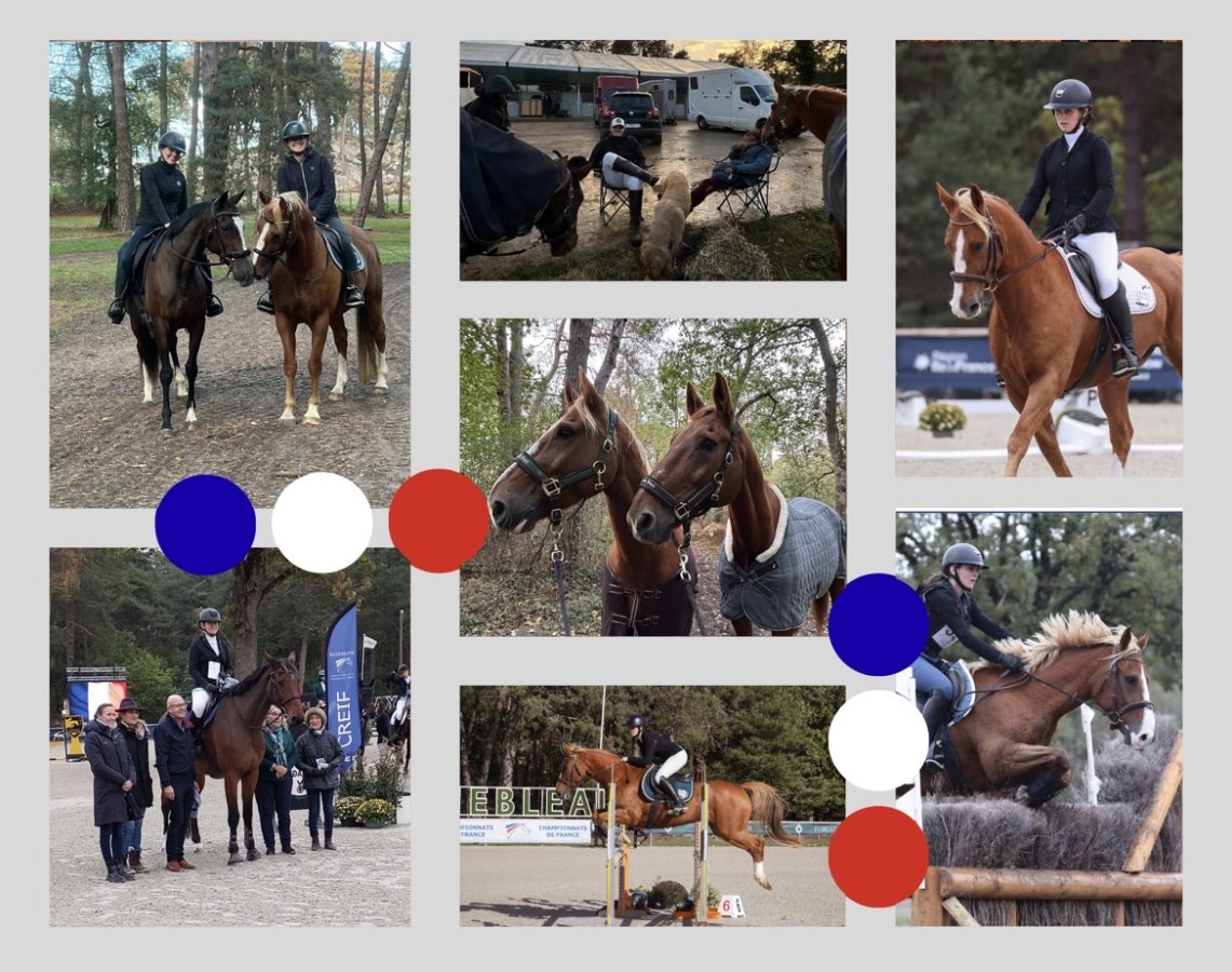 Championnat de France à Fontainebleau